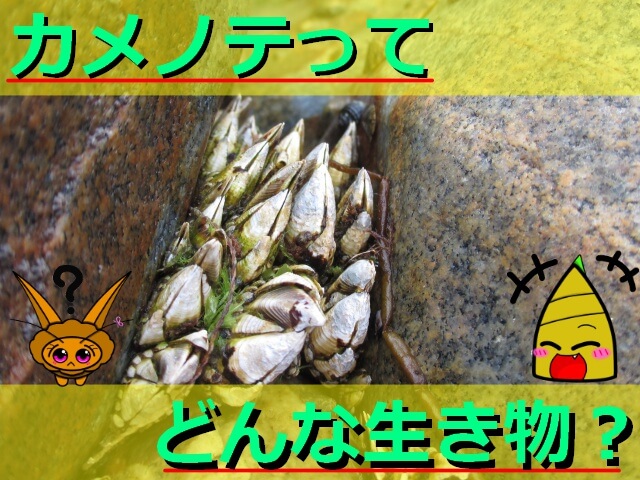 Thumbnail of post image 066